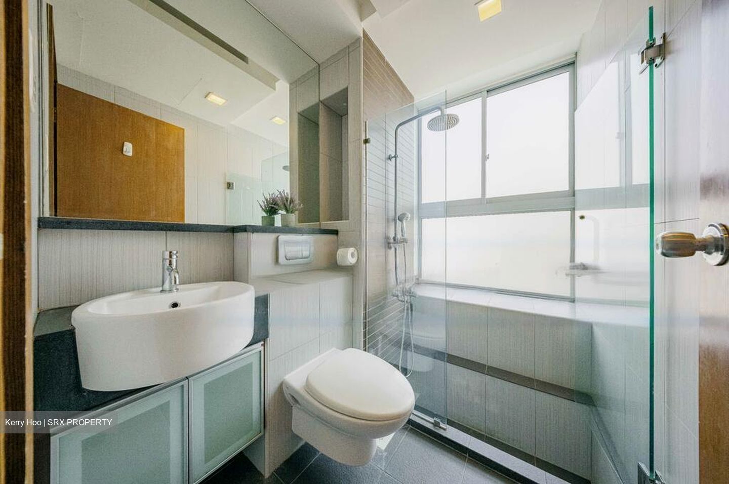 Evergreen View (D14), Apartment #474148191